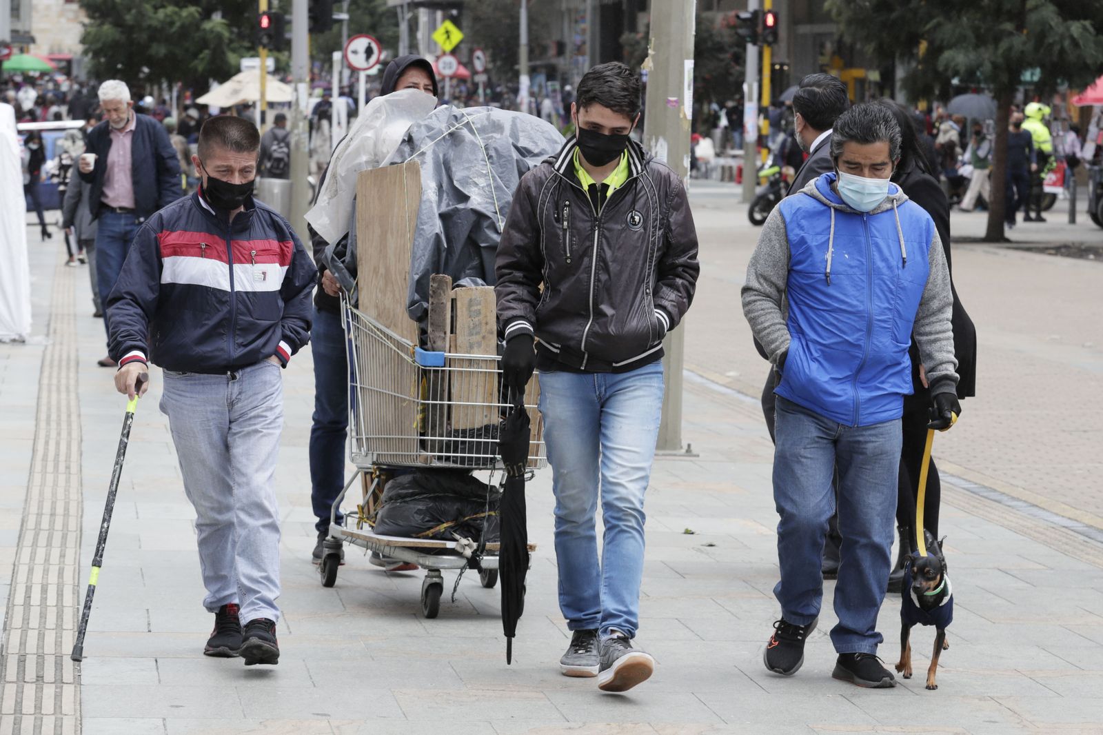 Colombia sigue anotando cifras por debajo de 300 contagios diarios de covid