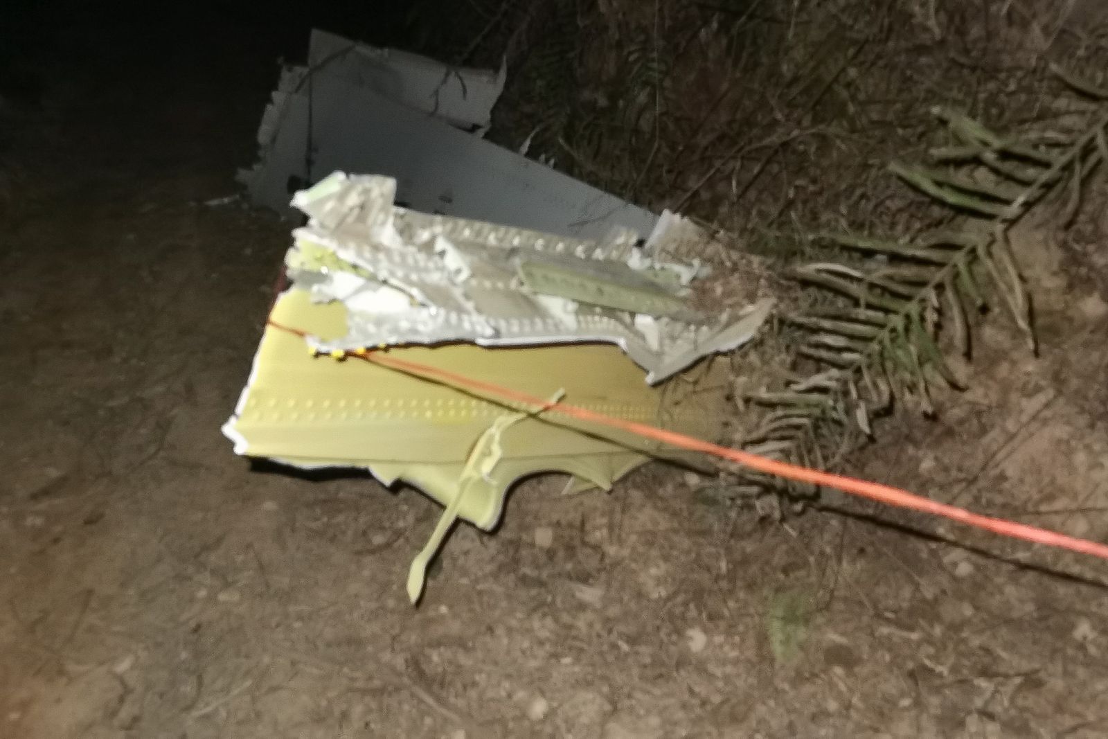Hallan restos humanos y de un motor en lugar del siniestro aéreo, según un medio chino