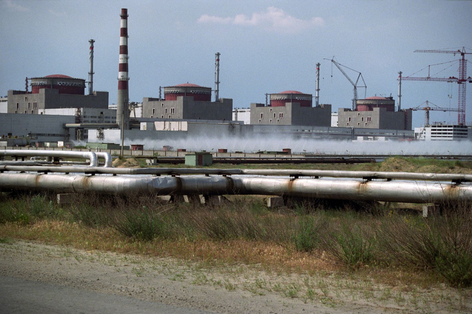 El medioambiente, víctima silenciosa de la guerra en Ucrania